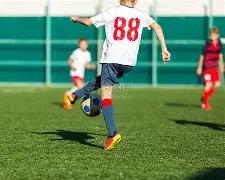 海尔兄弟,续篇迎来,年后新动向,k1体育平台,k1体育官方网站,k1体育登录入口,k1体育app下载