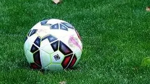 新西兰与香港货币对比