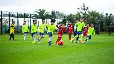 k1体育 产品 084349 j9u